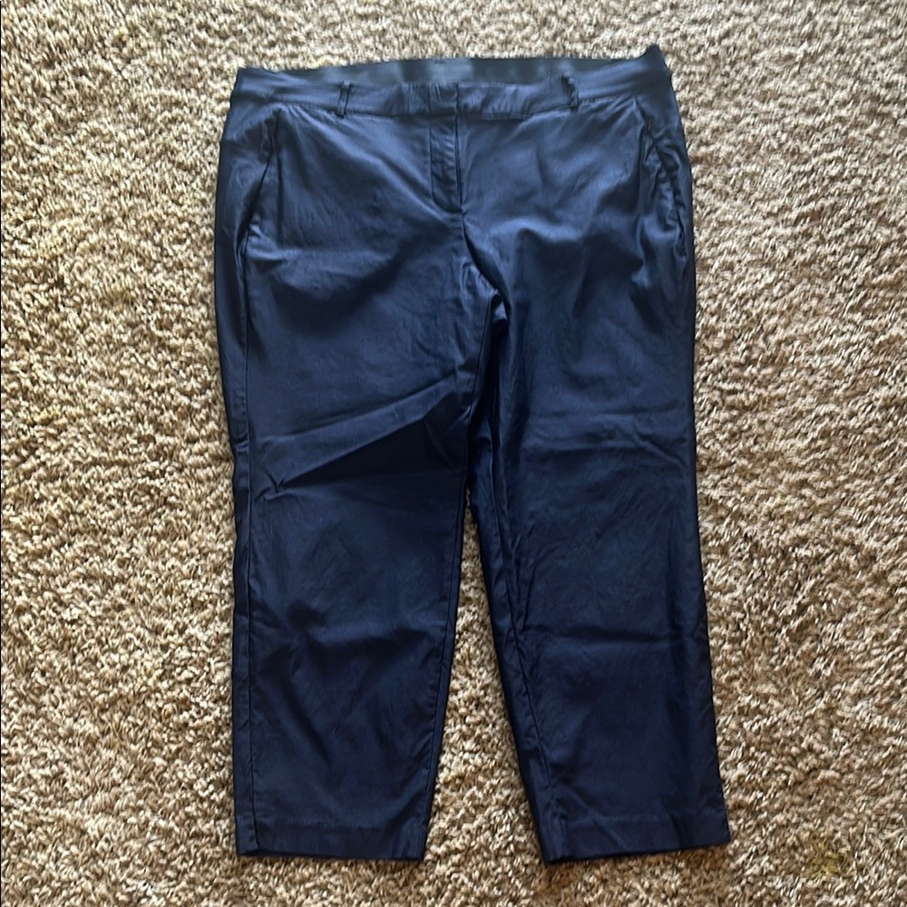 Lane Bryant Navy Ankle Pants